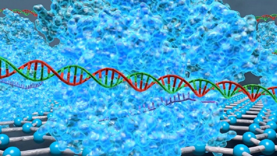 از داستانی علمی تا واقعیت؛ ساخت موتور جستجوی DNA