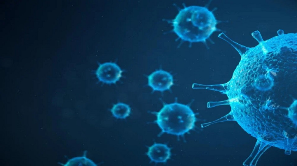 چگونه نانو-کپسول‌ها می‌توانند ویروس‌ها را حاطه کرده و خنثی کنند؟